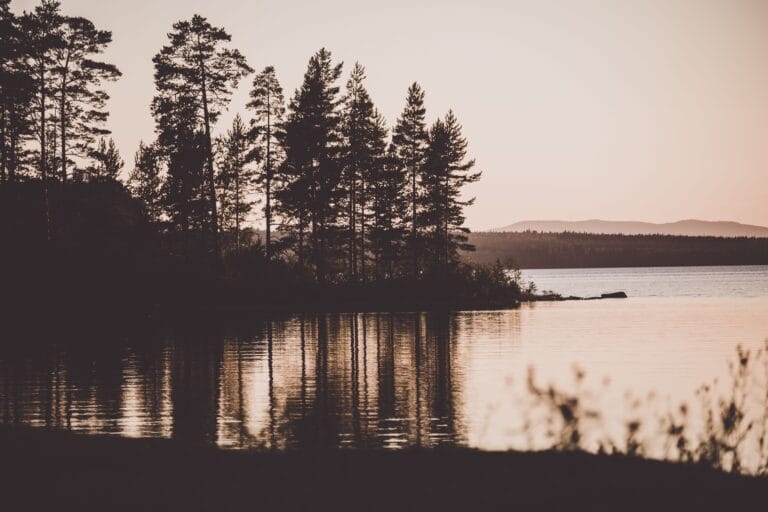 Jokainen yö on uusi yö